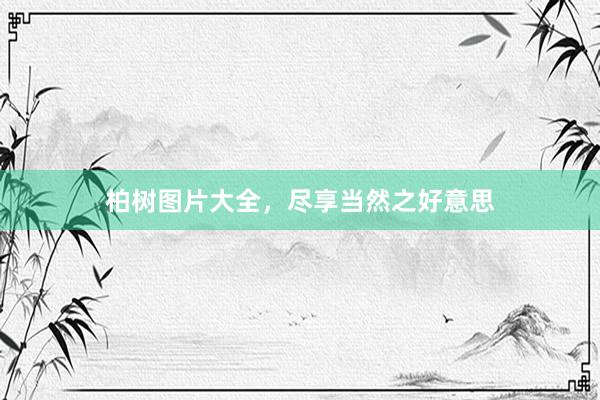 柏树图片大全，尽享当然之好意思