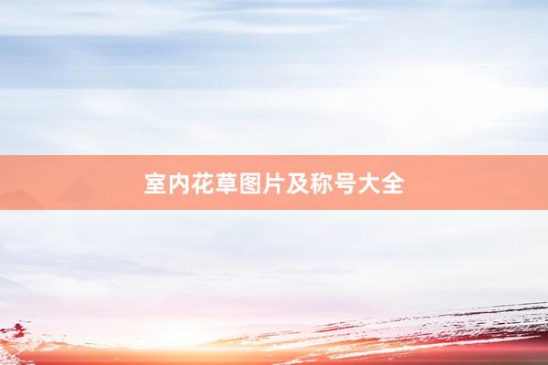 室内花草图片及称号大全